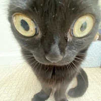 เเอ๊กๆ.😘