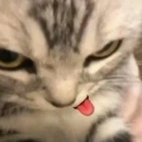 แอด