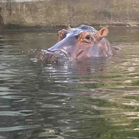 ทุกอย่าง