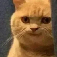 ไรท์ไงจะใครล่ะ