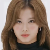 Park Sana/Jimin