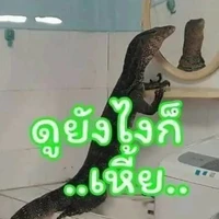 มินตรา//ชะนีข้างถนนใน ร.ร