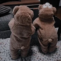 Teddy Author