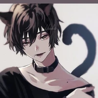Dylan neko