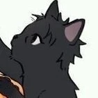 ♥︎𝐬𝐡𝐢𝐢♥︎