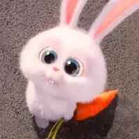 cute authy