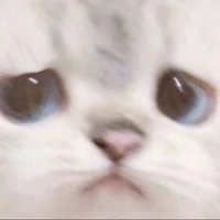?????!