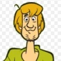 Shaggy