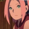 SAKURA KECIL