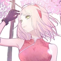sakura
