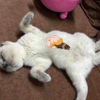 อีแอด
