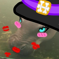 ฮิปโปโป