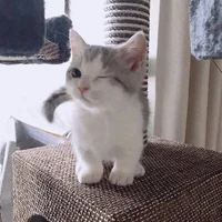 แอด