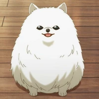 โคมุกิ
