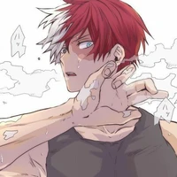 Shoto Todoroki