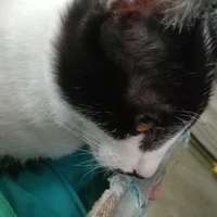 แอดเองจร้าา🇯🇵