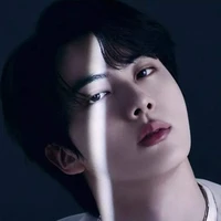 jin (Omega dominant et frère de jungkook