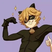 Chat noir