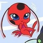 Tikky