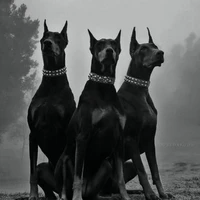 สัตว์ประหลาด
