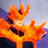 engie todoroki nom de hero endévor