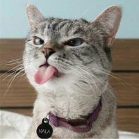 😝😝(เพื่อนวิว)