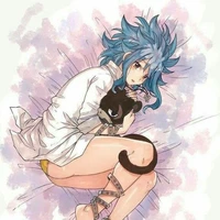 levy