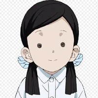 sumi