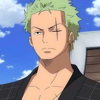 Zoro anak nyasar