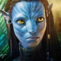Neytiry sully 