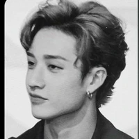 Bang Chan🔆
