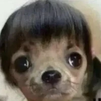 แอด