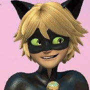 chat noir