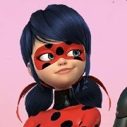 ladybug