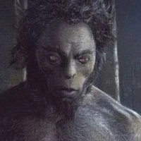 ฟีเรนซี