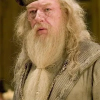 Prof Dumbledore