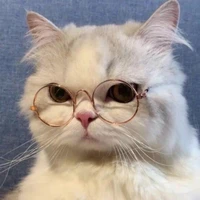 โพนี่จะกู้โลก