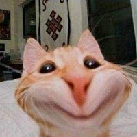 ไรท์เเสนสุดในเรื่อง