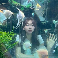เชอร์รีน