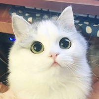 Cute_❤️