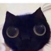 แอด