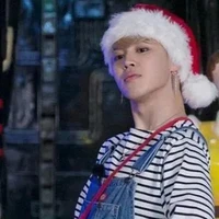 Jeon jimin/omega