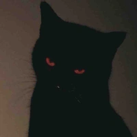 Micota 