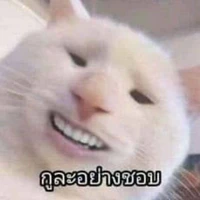 แอดเองจร้