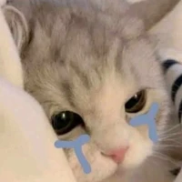 PRE⃝AW⃤A