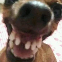 บักเค็มเบะ