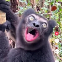 เเอดเองงงงมิต้องตกใจ