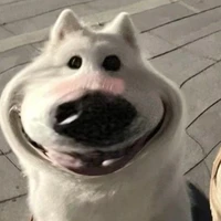 แอดเองงง