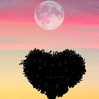 Autor♡