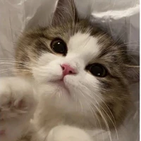 แอดเอง🥲